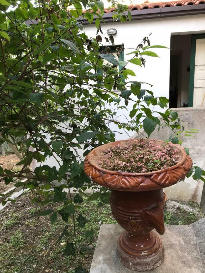 Casa Vacanze Via Convento Hotel Ficarra Екстериор снимка
